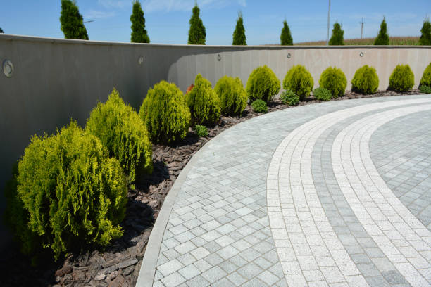 Best Best Driveway Pavers  in La Crescenta Montrose, CA